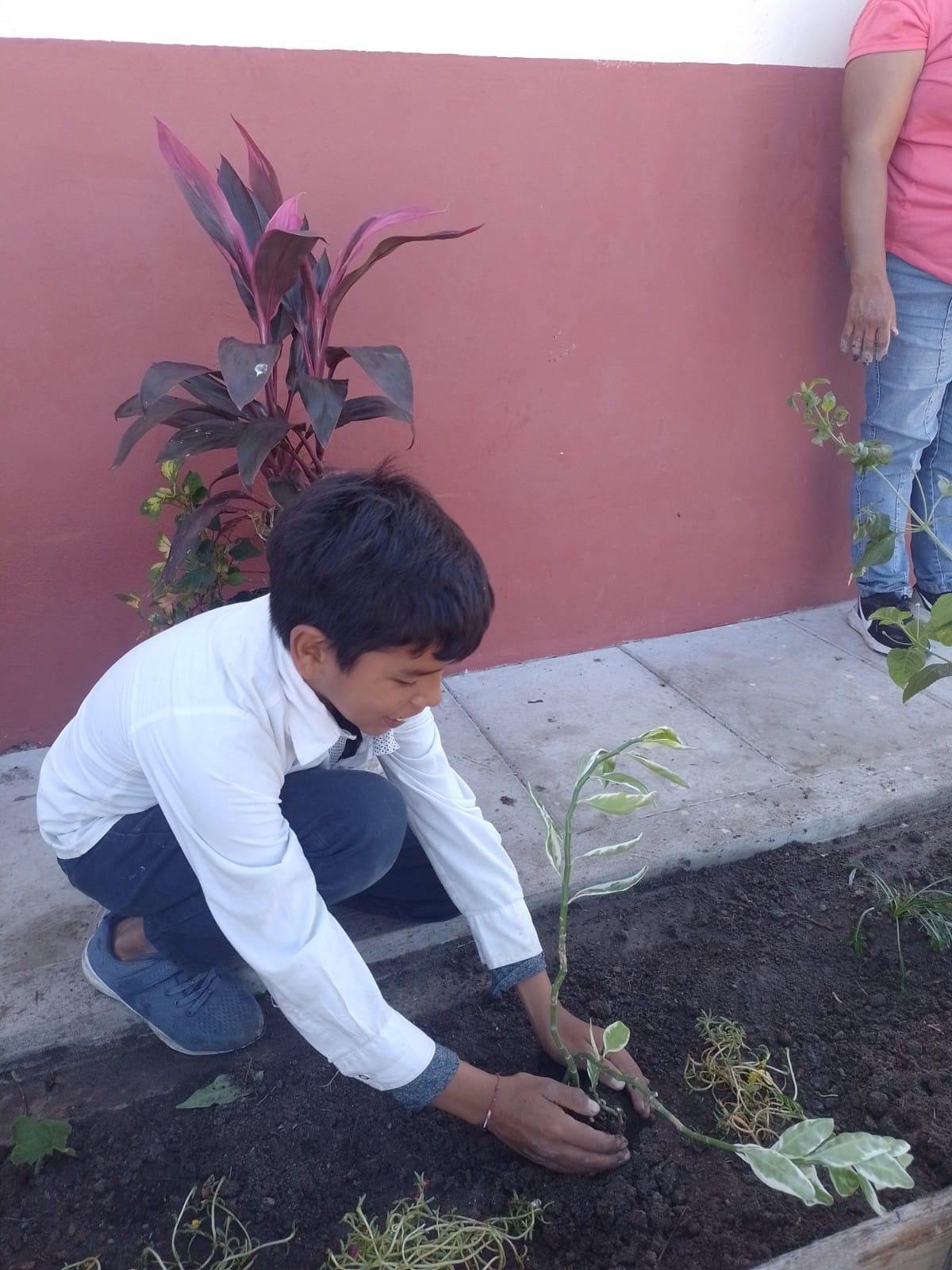 JARDIN-ESCUELA_9.jpeg